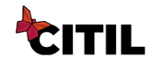 CITIL Logo